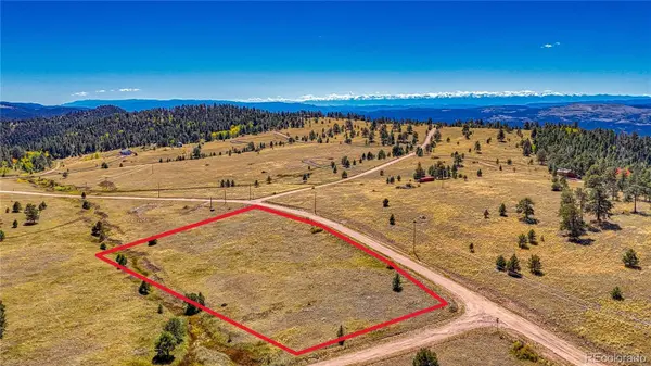 667 Penrose CIR, Cripple Creek, CO 80813