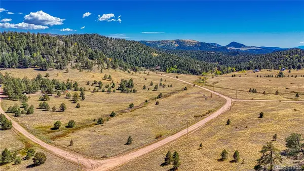 667 Penrose CIR, Cripple Creek, CO 80813