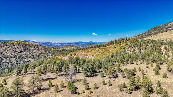 667 Penrose CIR, Cripple Creek, CO 80813