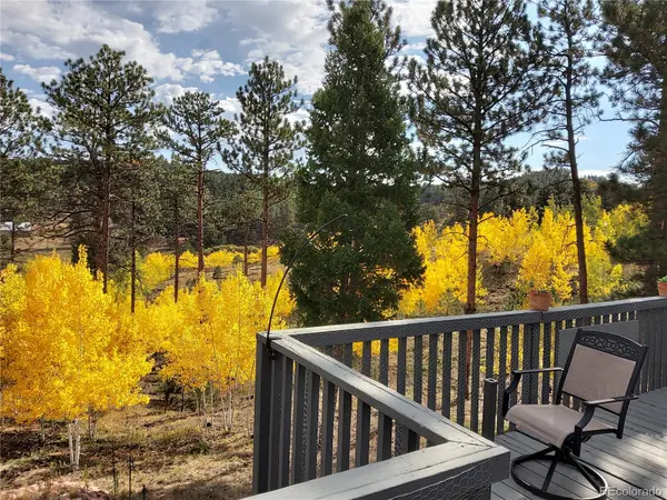 1395 Applebyy DR, Woodland Park, CO 80863