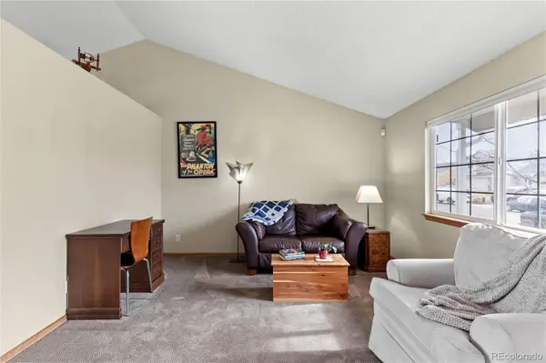 3743 Black Feather TRL, Castle Rock, CO 80104