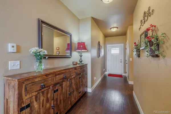 293 Daniwood GRV, Florissant, CO 80816