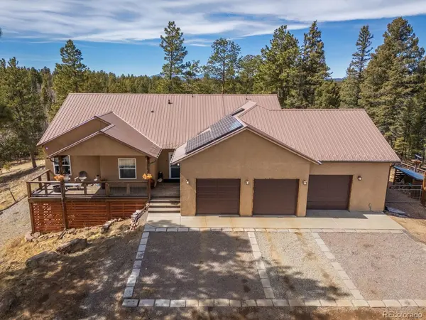 293 Daniwood GRV, Florissant, CO 80816
