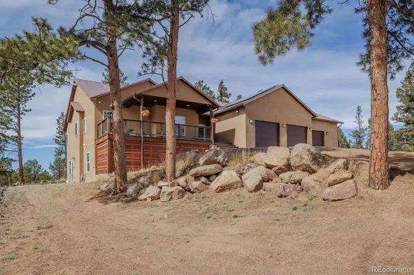 293 Daniwood GRV, Florissant, CO 80816