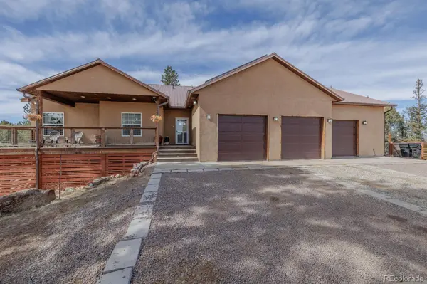 293 Daniwood GRV, Florissant, CO 80816