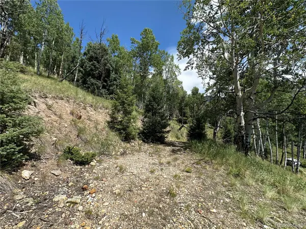 Calkins, Jasper, CO 81132