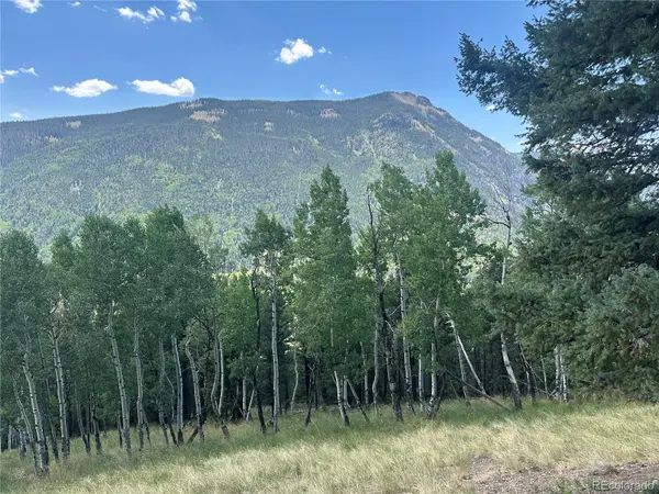 Calkins,  Jasper,  CO 81132