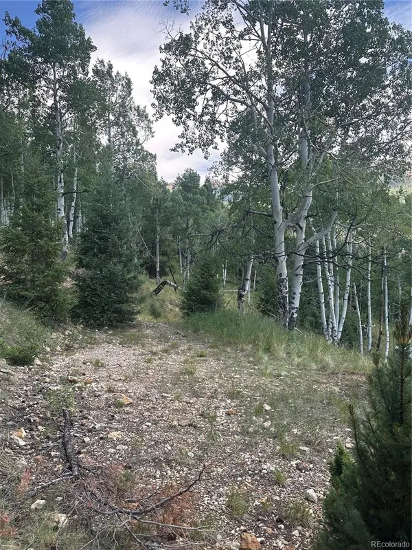 Calkins, Jasper, CO 81132