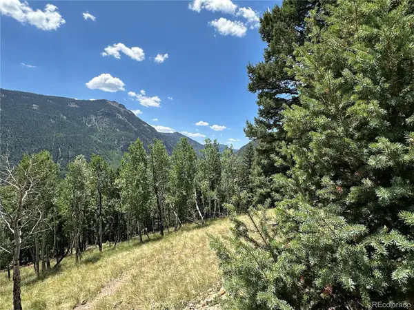 Calkins, Jasper, CO 81132