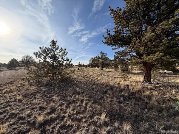 Mesa AVE, Hartsel, CO 80449