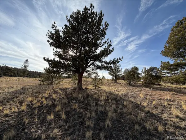 Mesa AVE, Hartsel, CO 80449