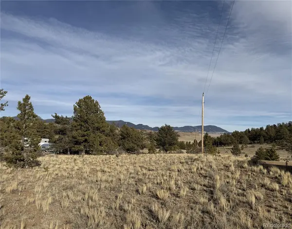 Mesa AVE, Hartsel, CO 80449