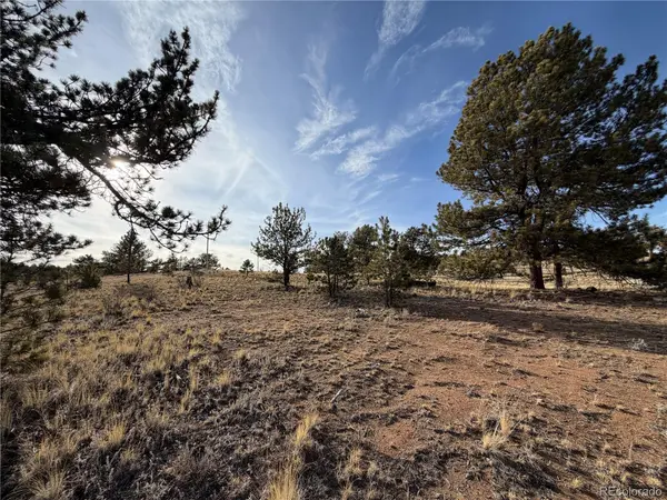 Mesa AVE, Hartsel, CO 80449