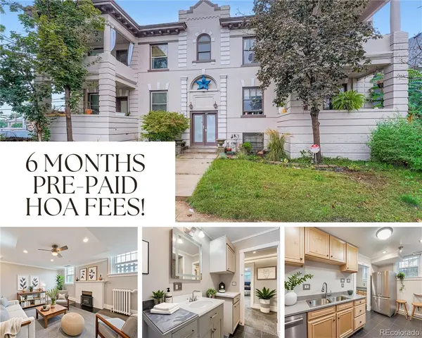 951 N Corona ST #5,  Denver,  CO 80218