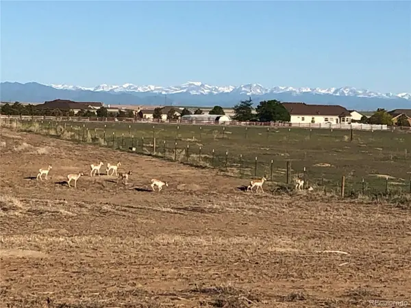 34623 E 10th DR, Watkins, CO 80137