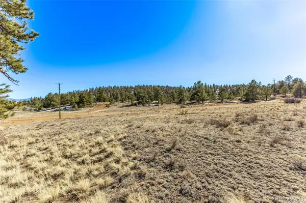 Spruce ST, Hartsel, CO 80449
