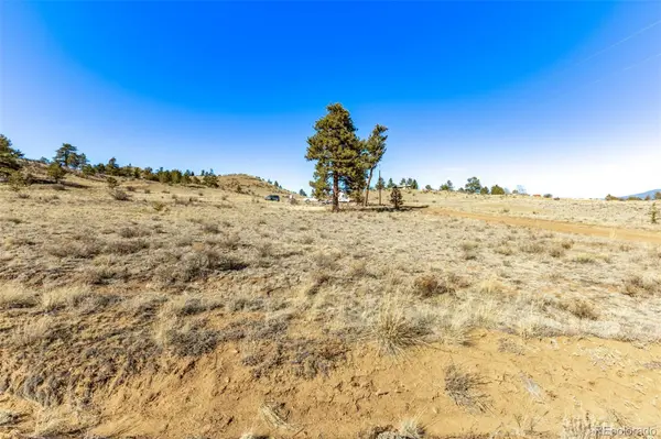 Spruce ST, Hartsel, CO 80449