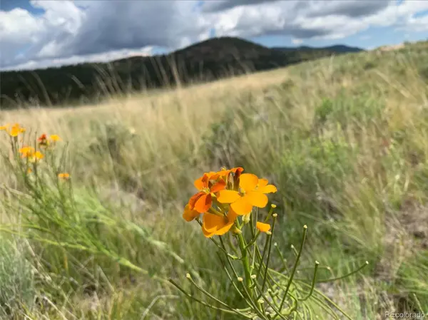 1485 Eagle Valley RD, Westcliffe, CO 81252