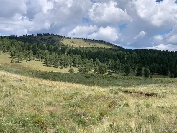 1485 Eagle Valley RD, Westcliffe, CO 81252