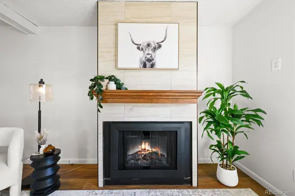 7137 S Webster ST, Littleton, CO 80128