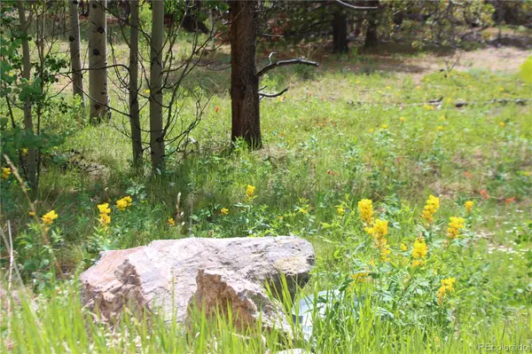 Glacier Ridge RD, Alma, CO 80420