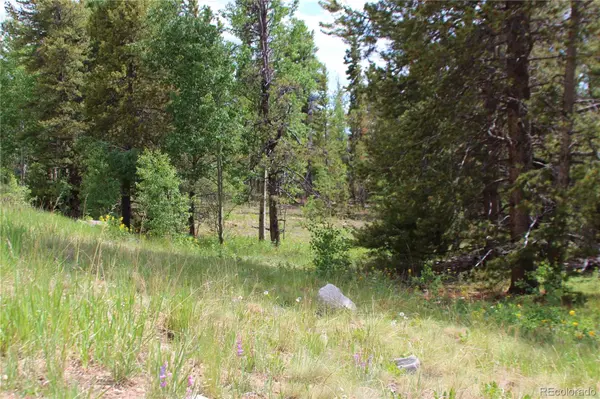 Glacier Ridge RD, Alma, CO 80420