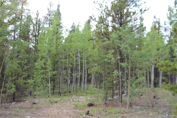 Glacier Ridge RD, Alma, CO 80420