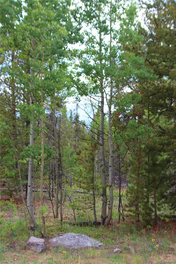 Glacier Ridge RD, Alma, CO 80420