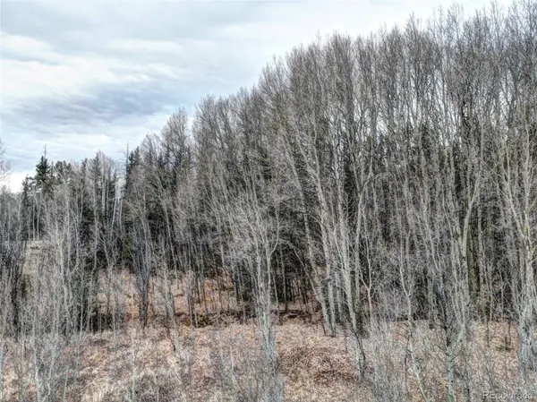 646 Antelope WAY,  Como,  CO 80432