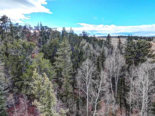 646 Antelope WAY, Como, CO 80432