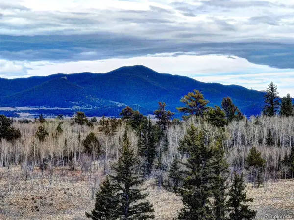 646 Antelope WAY, Como, CO 80432