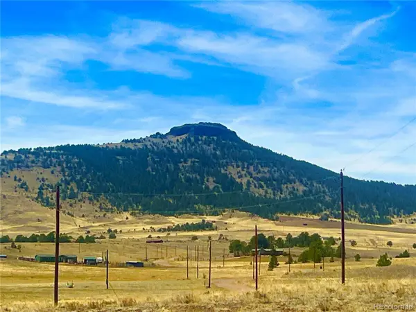 90 Meadow LN, Guffey, CO 80820