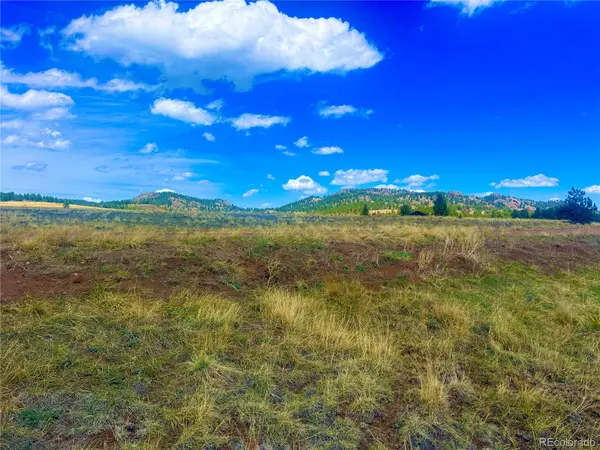 90 Meadow LN, Guffey, CO 80820