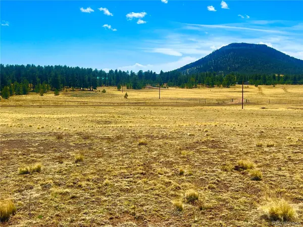 90 Meadow LN, Guffey, CO 80820