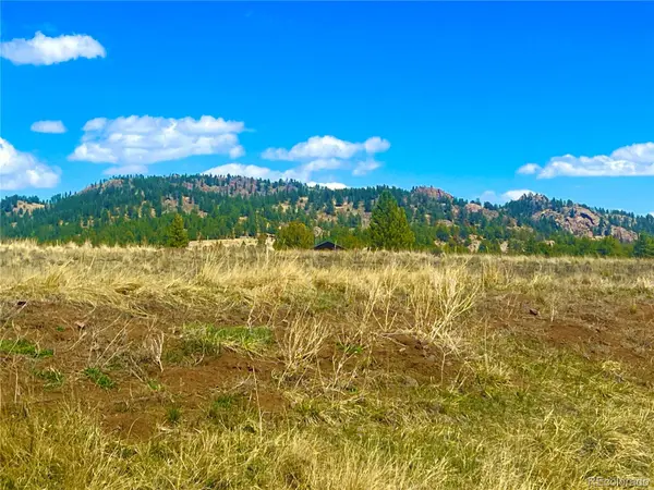 90 Meadow LN, Guffey, CO 80820