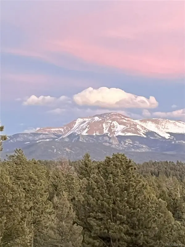 4261 County Road 51, Divide, CO 80814