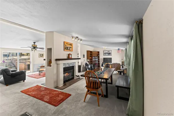 146 Kokwapy CT, Florissant, CO 80816