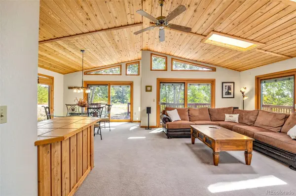 318 Foxtail LN, Fairplay, CO 80440