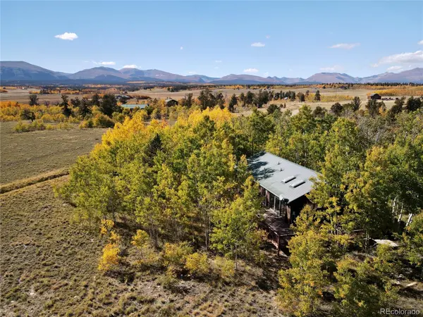 318 Foxtail LN,  Fairplay,  CO 80440