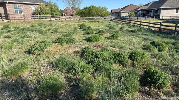 2084 Donna CT, Brighton, CO 80601