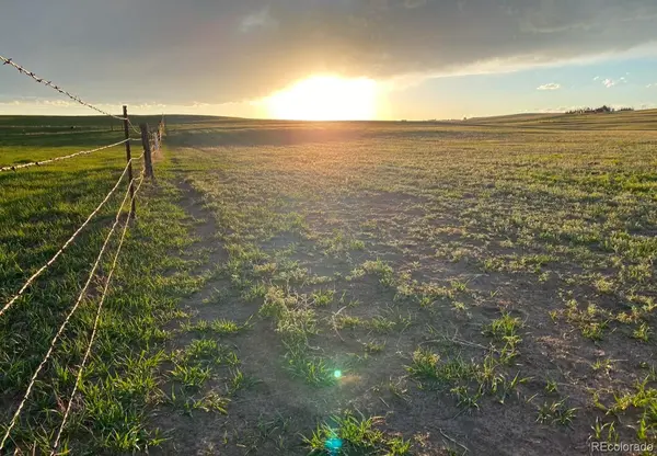 6597 S State Highway 83, Franktown, CO 80116