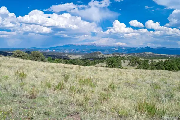 00 Witcher Mountain RD, Guffey, CO 80820