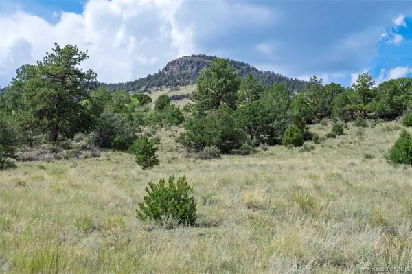 00 Witcher Mountain RD, Guffey, CO 80820