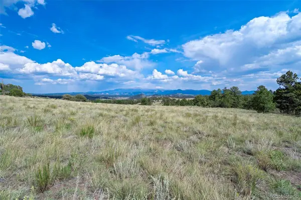 00 Witcher Mountain RD, Guffey, CO 80820