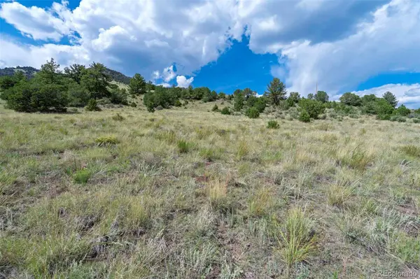 00 Witcher Mountain RD, Guffey, CO 80820