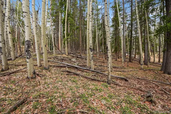 Ute TRL, Evergreen, CO 80439