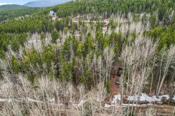 Ute TRL, Evergreen, CO 80439