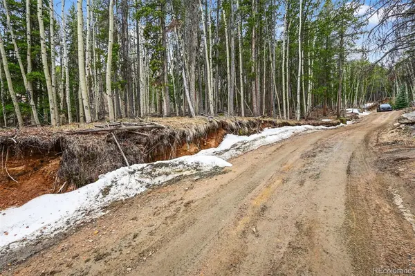 Ute TRL, Evergreen, CO 80439