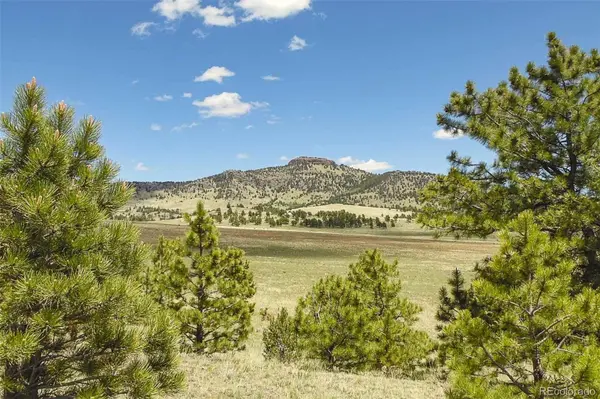 129 Eagle Nest TRL,  Guffey,  CO 80820