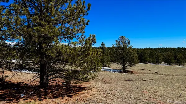 418 Scott DR, Florissant, CO 80816